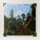 Zoek naar koala puzzels Wild
