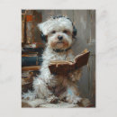 Zoek naar witte hond briefkaarten Grappig