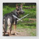 Zoek naar gsd klokken Puppy