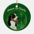 Zoek naar zwitsers ornamenten Hond