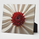 Zoek naar japan fotoplaat Voor iedereen