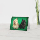 Zoek naar st patricks day kaarten Shenanigans