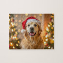 Zoek naar labrador puzzels Vakantie