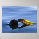 Zoek naar condoléances posters Oceaan