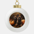 Zoek naar belgische herder ornamenten Puppy