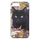 Zoek naar herfst katten elektronica Natuur