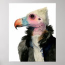 Zoek naar gieren posters Vogels