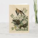 Zoek naar postduif kaarten Vogel