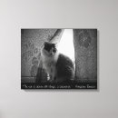 Zoek naar liefje fotografie Kat