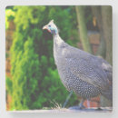 Zoek naar leeg onderzetters Douane