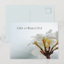 Zoek naar plumeria briefkaarten Bloemen