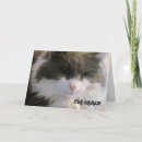 Zoek naar gemiste kaarten Kat