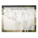 Zoek naar herd posters Barn