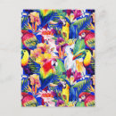 Zoek naar papegaai briefkaarten Palm