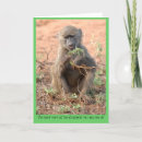Zoek naar baviaan briefkaarten Humor