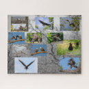 Zoek naar adelaars puzzels Wilde dieren