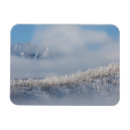 Zoek naar bevroren magneten Bos