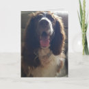 Zoek naar veulen kaarten Schattig