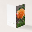 Zoek naar rosebud kaarten Fotografie