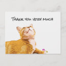 Zoek naar boterbloem briefkaarten Kat