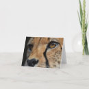 Zoek naar jachtluipaard kaarten Dank u