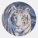 Zoek naar witte tijgers stickers Wilde dieren