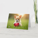 Zoek naar chihuahua puppy kaarten Valentijnsdag