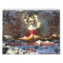 Zoek naar chicken kalenders Hen