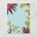 Zoek naar lucht plant briefkaarten Tropisch