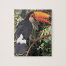 Zoek naar toekan puzzels Natuur