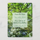 Zoek naar eik briefkaarten Pagan