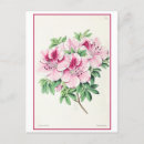 Zoek naar vintage botanisch briefkaarten Roze