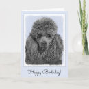 Zoek naar miniatuur poedel kaarten Hond