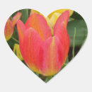 Zoek naar roze tulpen stickers Oranje