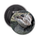 Zoek naar dieren flessenopeners Foto