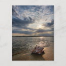 Zoek naar shell briefkaarten Strand