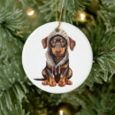 Zoek naar doberman ornamenten Kerstmis