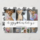 Zoek naar pow kaarten Hond