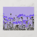 Zoek naar arty briefkaarten Creatief