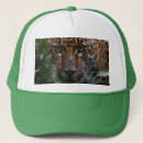 Zoek naar jaguar petten Wild