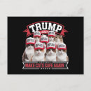 Zoek naar donald trump briefkaarten Verkiezing