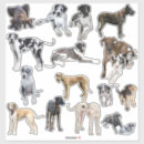 Zoek naar denen stickers Puppies