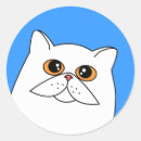 Zoek naar witte perzische kat stickers Kitten