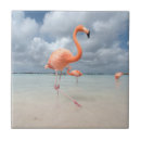 Zoek naar flamingos tegels Tropisch