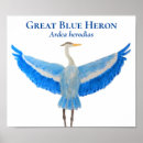 Zoek naar blauwe reiger kunst Grote blauwe hert