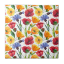 Zoek naar korenbloem tegels Natuur