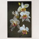 Zoek naar plantkunde puzzels Bloemen