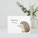 Zoek naar hedgehog briefkaarten Dieren