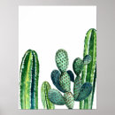 Zoek naar zuidwestelijk posters Cactus