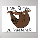 Zoek naar grappige luiaard posters Langzaam